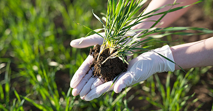 Tekstil Ürünleri - Tarım